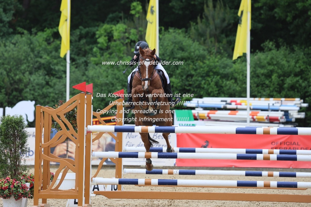Preview viktoria hilger mit jango IMG_2245.jpg